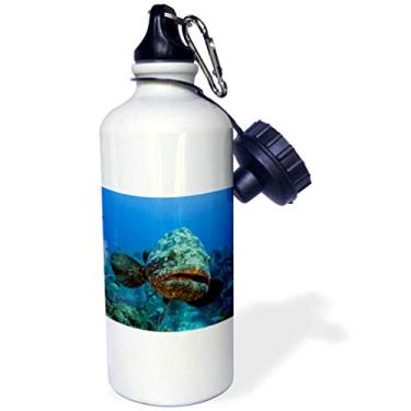 Imagem de 3dRose Garrafa de água com canudo dobrável Atlantic Goliath Grouper, 600 ml, multicolorida