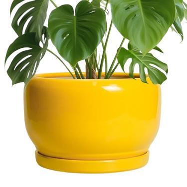Imagem de SQOWL Vaso de plantas de 25 cm - Vaso de cerâmica com orifício de drenagem e pires, vaso decorativo para plantas internas e externas, vaso redondo grande amarelo