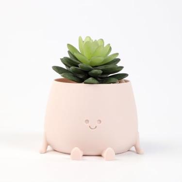 Imagem de EcoBioPrint Conjunto de presente de plantas suculentas - vaso de plantas fofas de 8 cm - Vaso engraçado de plástico - Vaso de flores pequeno com rosto suculento - Vaso decorativo moderno - inauguração