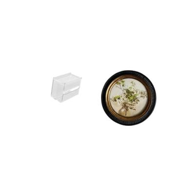 Imagem de Fenteer Caixa Moderna de Acrílico para Guardar Papel Higiênico E Porta-lenços de Parede Decorativo em Resina com, Estilo Antigo Europeu, com Porta-retr