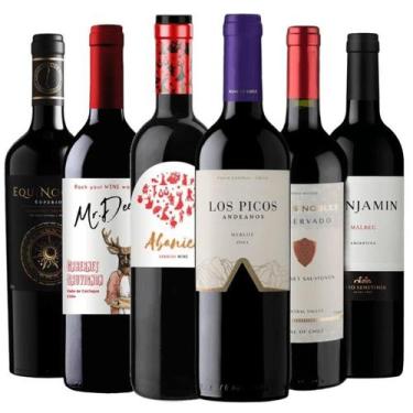Imagem de Kit 6 Vinhos Tintos Essenciais - Kit Divvino