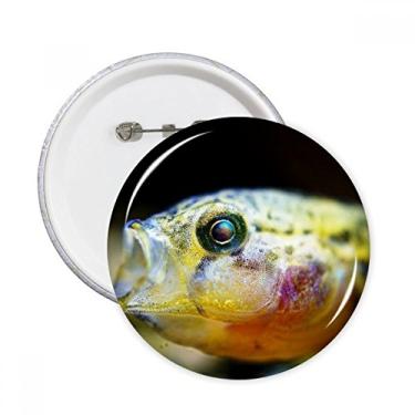 Imagem de Broche redondo de peixe tropical pequeno com emblema de botão para decoração de 5 peças