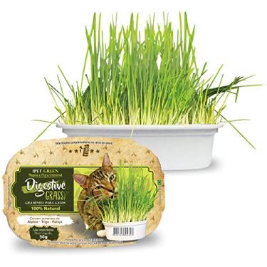 Imagem de Ipet Green Digestive Grass Graminha Para Gatos 50G IPET para Todas Todos os tamanhos de raça Todas as fases - Sabor Outro