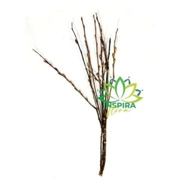 Imagem de 10 Galhos Secos Vime Retorcidos Decoração Torto Rustico Luxo - Inspira