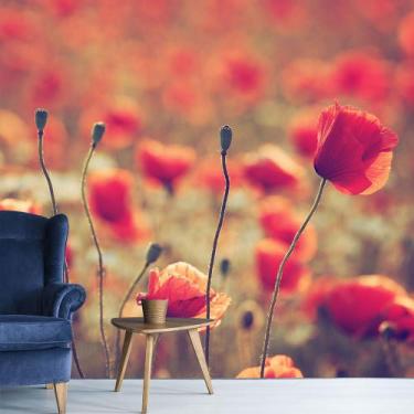 Imagem de Papel de Parede Flor Floral Campo Natureza Sala Painel - 230pcp - Allo