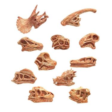 Imagem de Animais Antigos Cabeça Esqueleto Modelo Crânio Brinquedos Educativos Decoração Ossos