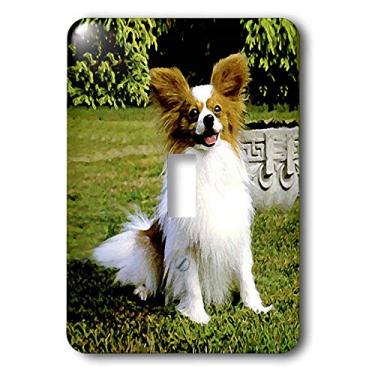 Imagem de 3dRose Papillon – Interruptor de interruptor único (lsp_496_1), varia