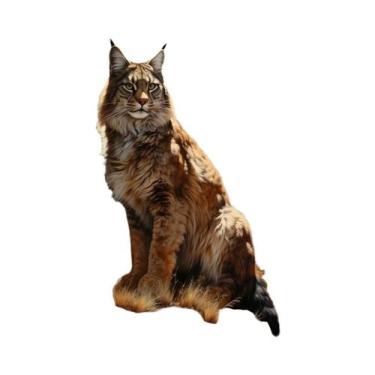 Imagem de Pintura Em Tela Sem Moldura Com Tema De Animal Lince Para Decoração De