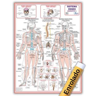 Imagem de Mapa de 120x90 Cm do Sistema Esquelético 1 - Medicina - Enfermagem - E