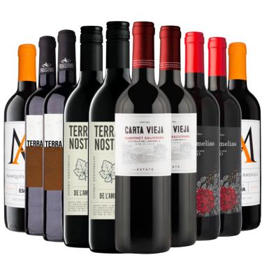 Imagem de Kit 10 Vinhos Tintos Mais Vendidos Seleção Exclusiva