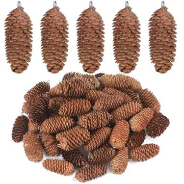 Imagem de Canlierr 50 peças de pinhas naturais com pregos, pinhas de Natal, neve, pinhas rústicas, guirlanda de outono, decoração de Dia das Bruxas, Ação de Graças, enfeites de outono para árvore de Natal