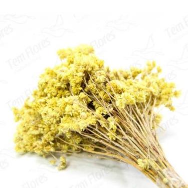 Imagem de Marcela Amarela Natural Desidratado - Pense Flores