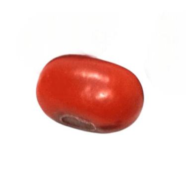 Imagem de Fava de Ogum  Coragem  Proteção  Abertura de Caminhos - Estrela Magia