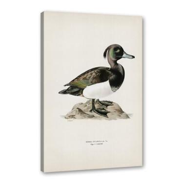 Imagem de Pôster de arte de parede vintage com estampa de pato rústica, pássaros, lago, natureza, retrô, pintura, quadros, decoração de quarto de fazenda (SKU4,27.9x35.6 cm = (28 x 35 cm), emoldurado (tela