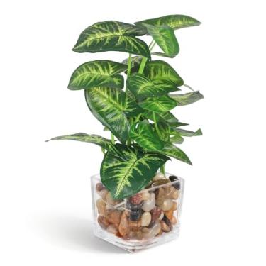 Imagem de Lovmeety Plantas artificiais em vaso transparente com seixos, plantas tropicais pequenas plantas artificiais decoração interna para casa, cozinha, banheiro, escritório, prateleira de mesa