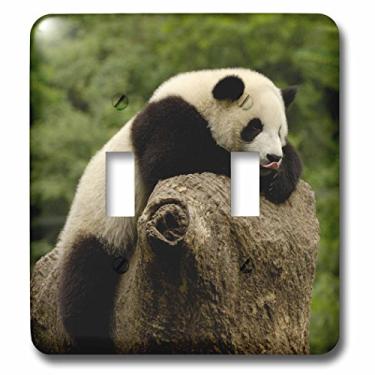 Imagem de 3dRose lsp_70207_2 Ursos panda gigantes, Conservação Wolong, interruptor duplo da China