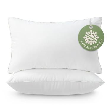 Imagem de Almofadas de almofada (pacote com 2, 35,5 x 55,8 cm, branco) - Hipoalergênico 100% fibra virgem almofada lombar forma microfibra almofadas para cama e sofá | Travesseiro decorativo interno