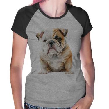 Imagem de Baby Look Raglan Bulldog-Inglês - Foca na Moda, Cinza, Preto, P