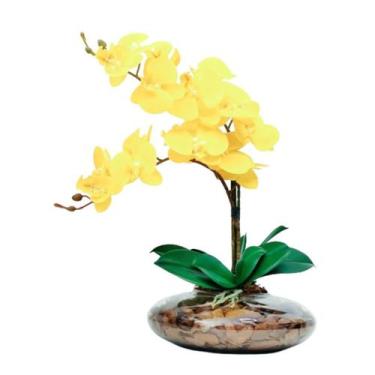 Imagem de Arranjo Com 2 orquideas Flor Amarelas realista Vaso terrário - La Caza