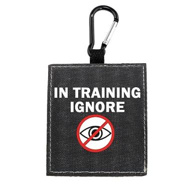 Imagem de Coleira engraçada para cães Have in Training Ignore Dog Leash Wrap Alert Hanging ID Patch Tag Pet Birthday Gift (Training Ignore-Tag)