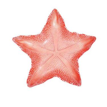 Imagem de Prato de Vidro Estrela do Mar Pequena Coral Marina 21 x 3cm - Vylux