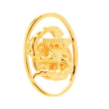 Imagem de Broche Pin Farmácia Farmacêutica Folheado A Ouro 18k - Milena Joias
