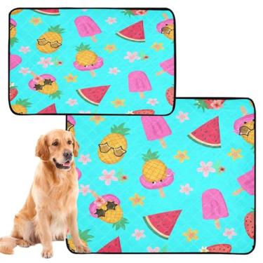 Imagem de CEBUGI Almofadas de xixi laváveis para cães, pacote com 2, almofadas impermeáveis para filhotes de cachorro, antiderrapante, à prova de vazamento, para cama de cercadinho, frutas tropicais