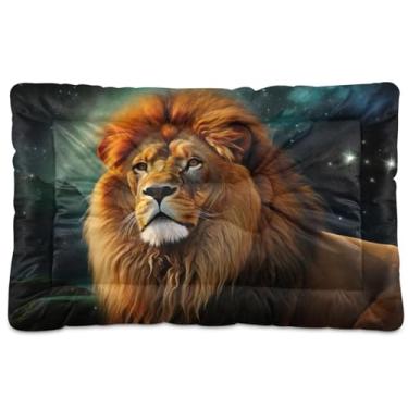 Imagem de Wassud Cama de cachorro com corações desenhados à mão leão em campo estrelado, cama grande para cães ao ar livre, tapete lavável para animais de estimação, cama de gato para dormir, viagens 91 x 61 cm