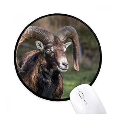 Imagem de DIYthinker Tapete de mouse de ovelha ciência da silvicultura natureza desktop escritório tapete redondo para computador