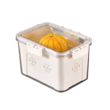 Imagem de Organizador para Geladeira com Tampa e Cesta Divisória, 23,5 x 16,5 x 14 cm, Transparente e Branco