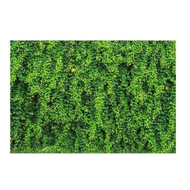 Imagem de Fundo Fotográfico Muro Inglês 2,2X1,5 Fff-503