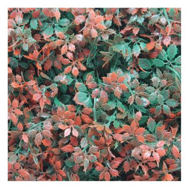 Imagem de Kit 10 Placas Muro Inglês Jardim Vertical Artificial Avermelhada 40x60cm