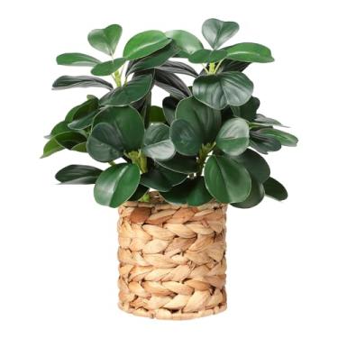 Imagem de Pertivery Decoração de plantas artificiais, vegetação, plantas suculentas falsas trançadas, vasos trançados, decoração multifuncional para banheiros, quartos, cozinhas, escritórios e mesas de jantar