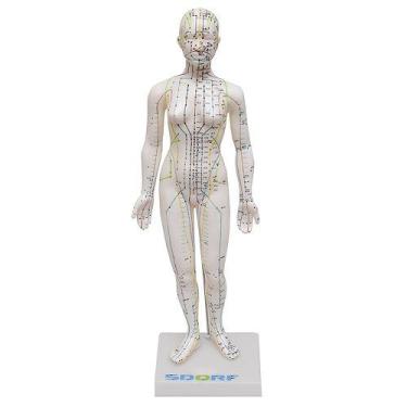 Imagem de Manequim Acupuntura Feminino de 50cm