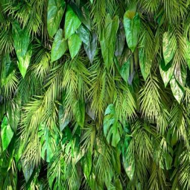 Imagem de Quadro Decorativo Landscaping Wall Arte Paisagem Jardim Vertical Interior 40x40cm