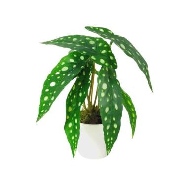 Imagem de Arranjo de Planta Artificial em Vaso de Plástico - Melhores Ofertas , 