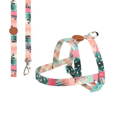 Imagem de Toh Conjunto Peitoral Tradicional E Guia Laguna M