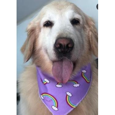 Imagem de 100 bandanas G pet sortidas - Drika pets