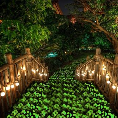 Imagem de 340 peças que brilham no escuro seixos de jardim, pedras luminosas para jardinagem, decoração ao ar livre, cascalho de aquário de peixes de água brilhante (verde)