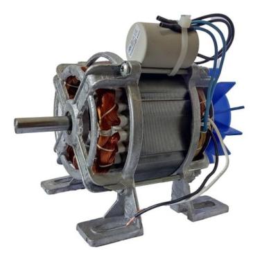 Imagem de Motor Máquina De Frango Frangueira Forte Brutus 1/3cv 220v - ERMS