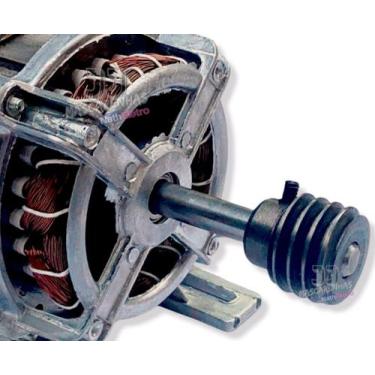Imagem de Motor reposição Frangueira elétrica com rosca sem fim 1/4cv - JJ