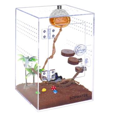 Imagem de SORWATEE Kit de terrário de aranha, gabinete de aranha saltadora com esconderijo, ponte de corda, escada de borda, terrário micro habitat para répteis de pequenas árvores, gabinete de tarântula