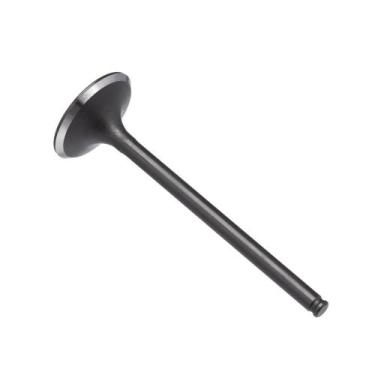 Imagem de Valvula Admissao Kmp Cb 300r 09/15 F016