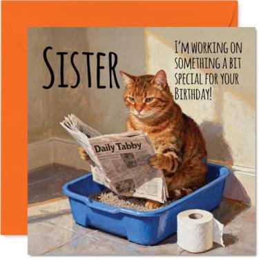 Imagem de Stuff4 Cartão de aniversário da irmã - Trabalhando em algo especial - Cartão de feliz aniversário para irmã do irmão irmão, bandeja de areia engraçada para gatos de 14 cm, cartões comemorativos de