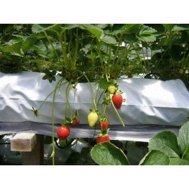 Imagem de Saco Plastico Branco Slab Para Plantio Preto Branco 33 X 1,10mt Qtd:20