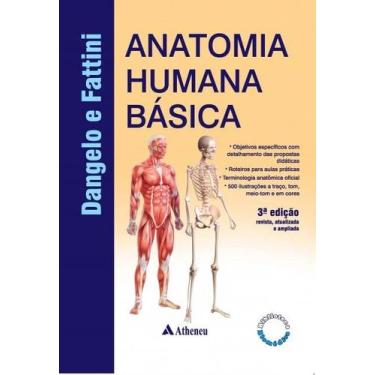 Imagem de Anatomia Humana Basica - ATHENEU RIO EDITORA