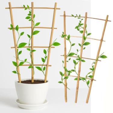 Imagem de Tutor Estacas de Bambu Tutor de Bambu Natural Treliça para Crescimento