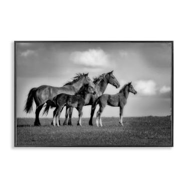 Imagem de Stupell Industries Babies On Board Horse Family Design de arte giclée emoldurado preto por Wendy Caro, 16 x 24