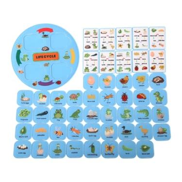 Imagem de Amagogo Kit de ciclo de vida Cadeia alimentar alimentos Web Animal Learning for Classroom Kids 3 4 5 6 7 8, Azul