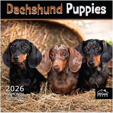Imagem de MICASA Dachshund Puppies 2026 Calendário de parede 12 meses | 30,5 cm x 61 cm aberto | Papel grosso e resistente | Presente | Calendário 2026